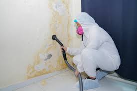 Biohazard Mold Removal in Owensville, MO